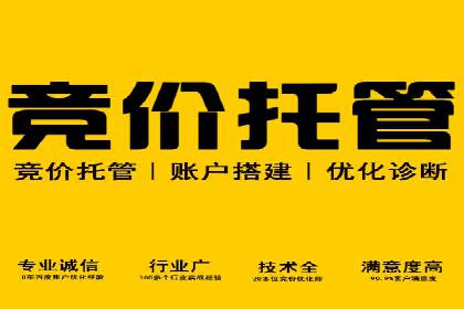 竞价推广实战经验：案例分析与实践
